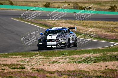 media/Feb-25-2024-Speed Ventures (Sun) [[b9a2a97a4d]]/Mustang Drivers Club/Session 3 (Turn 2)/